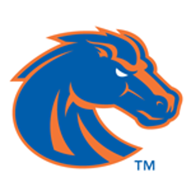 Picture for category Boise State