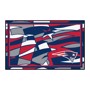Picture of New England Patriots 4x6 Plush Rug