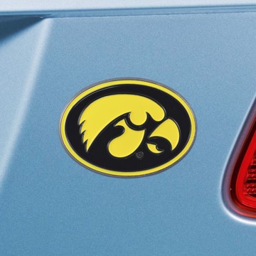 Picture of Iowa Hawkeyes Color Emblem