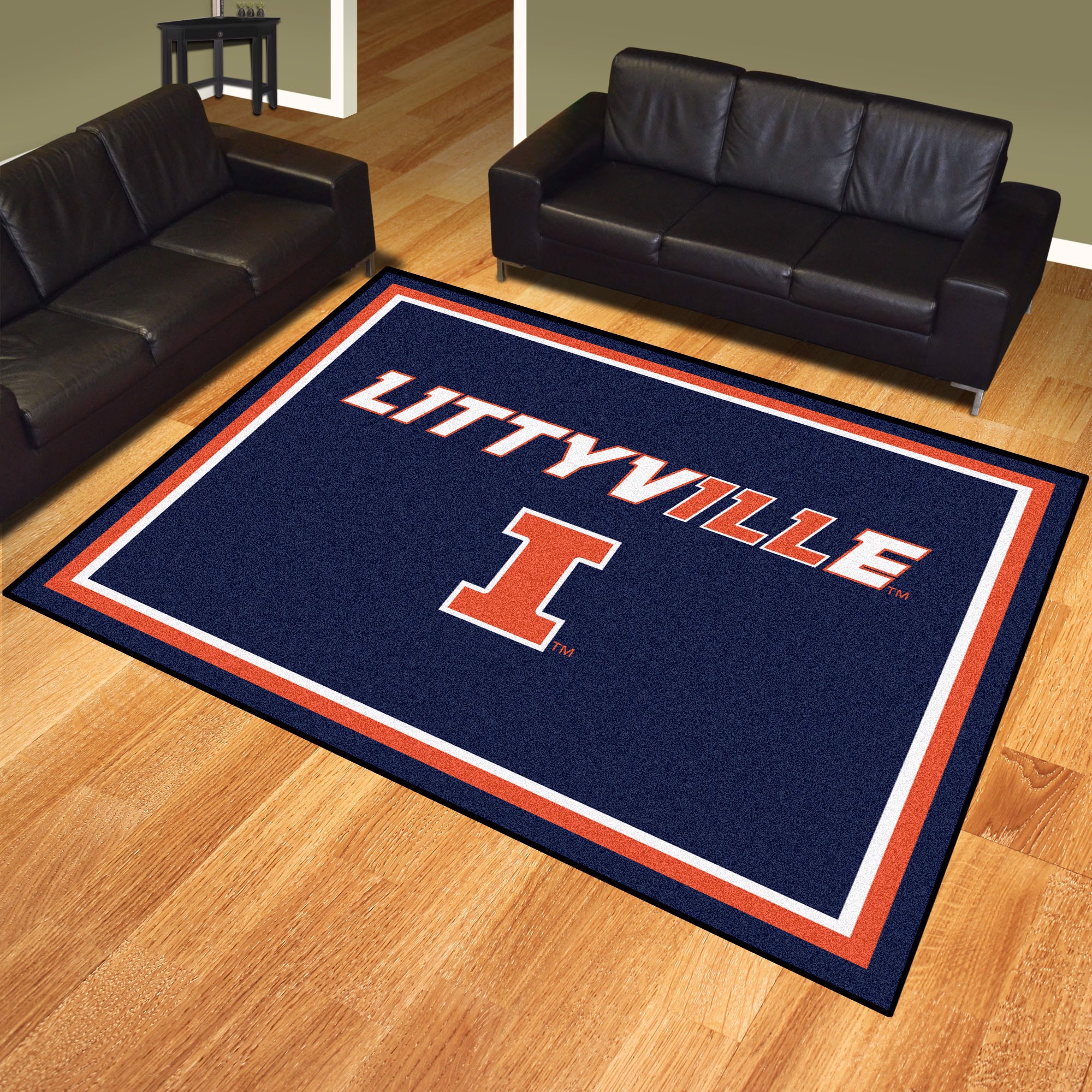 FANMATS NCAA University of Illinois Fighting Illini Nylon Face Carpet Car Mat