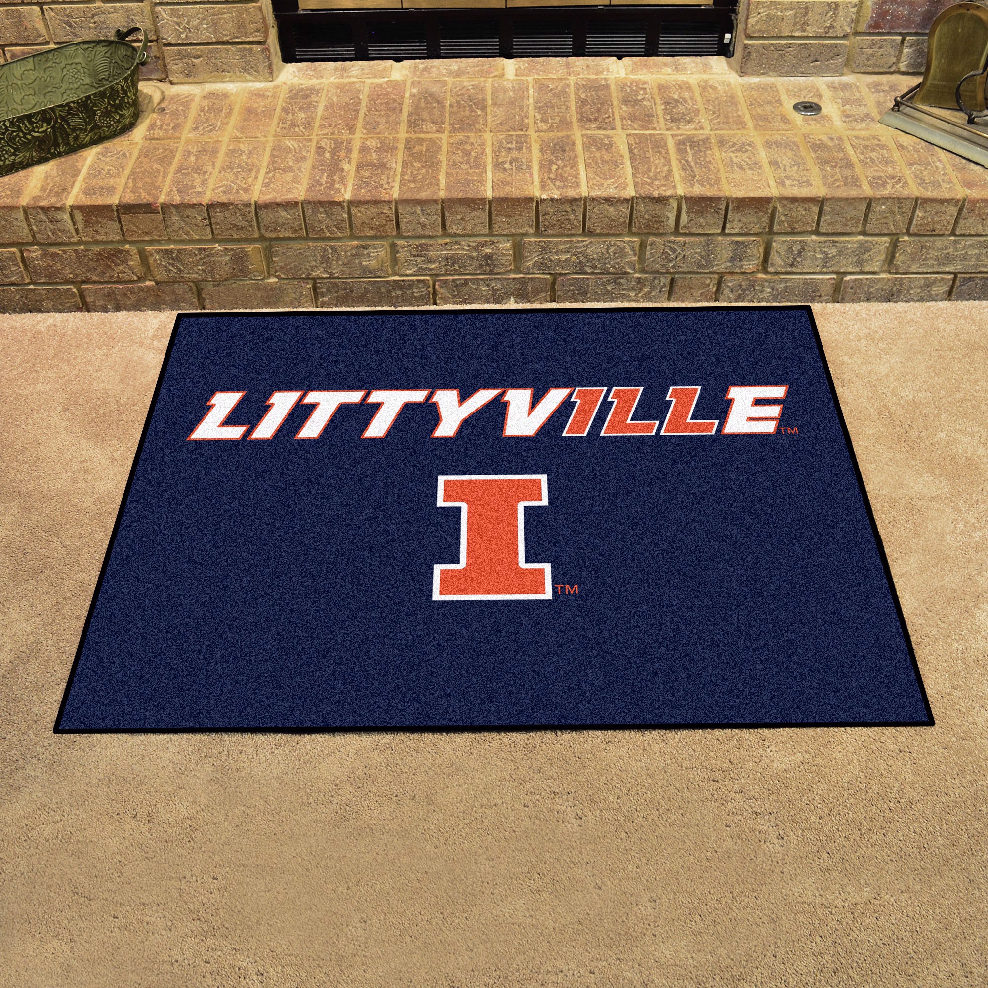 FANMATS NCAA University of Illinois Fighting Illini Nylon Face Carpet Car Mat