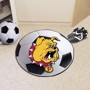 Picture of Ferris State Soccer Ball