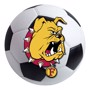 Picture of Ferris State Soccer Ball