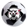 Picture of Davidson Soccer Ball
