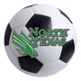 Picture of North Texas Soccer Ball