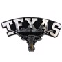 Picture of Texas Longhorns Molded Chrome Emblem