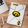 Picture of Iowa Hawkeyes Decal 3-pk