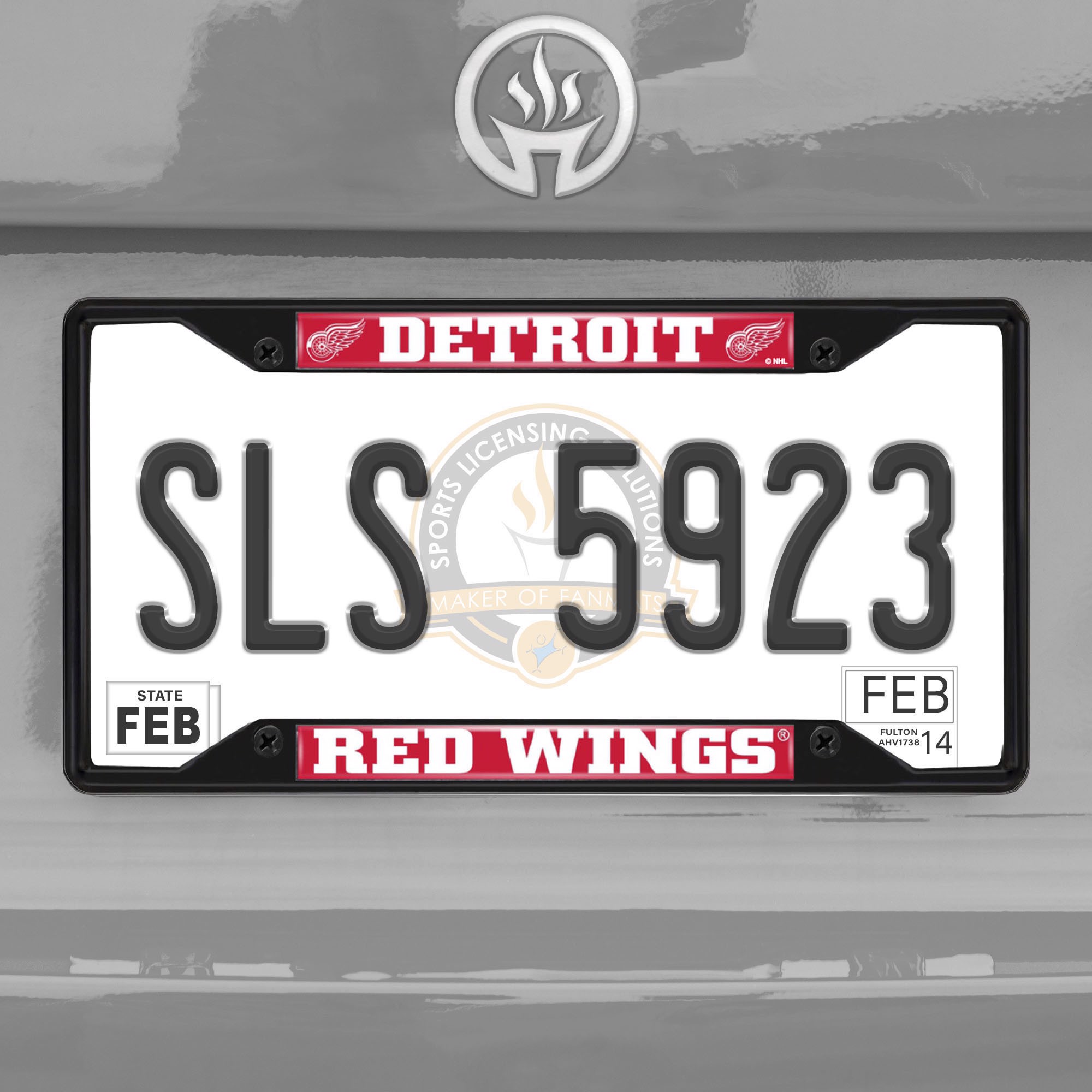 Michigan State Basketball License Plate Frame
