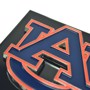 Picture of Montreal Canadiens Hitch Cover