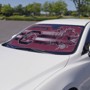 Picture of South Carolina Gamecocks Auto Shade