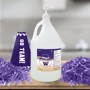 Picture of Washington Huskies 1-gallon Hand Sanitizer with Pump Top
