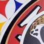 Picture of Las Vegas Raiders Large Team Logo Magnet 10"