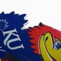 Picture of Detroit Lions Embossed Color Emblem