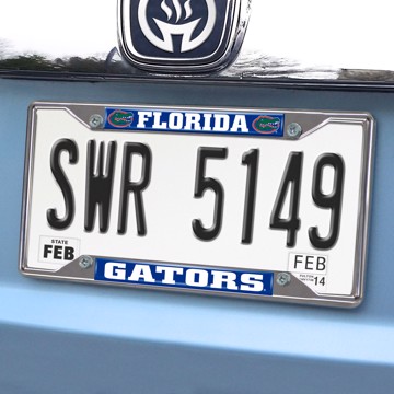 Picture of Florida License Plate Frame