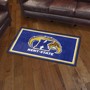 Picture of Kent State 3'x5' Plush Rug