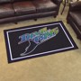 Picture of Tampa Bay Devil Rays 4X6 Plush Rug - Retro Collection