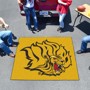 Picture of UAPB Golden Lions Tailgater Mat