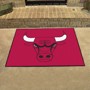 Picture of Chicago Bulls All-Star Mat