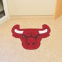 Picture of Chicago Bulls Mascot Mat