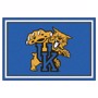 Picture of Kentucky Wildcats 5x8 Rug