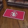 Picture of South Dakota Coyotes 3x5 Rug