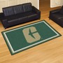 Picture of Charlotte 49ers 4x6 Rug