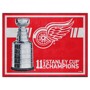 Picture of Detroit Red Wings 8X10 Plush
