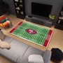 Picture of San Francisco 49ers 6X10 Plush Rug