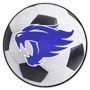 Picture of Kentucky Wildcats Soccer Ball Mat