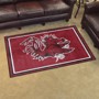 Picture of South Carolina Gamecocks 4x6 Rug