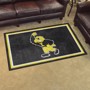 Picture of Iowa Hawkeyes 4x6 Rug