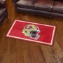 Picture of San Francisco 49ers 3x5 Rug