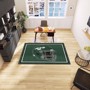 Picture of New York Jets 5x8 Rug