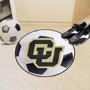 Picture of Colorado Buffaloes Starter Mat