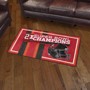 Picture of Tampa Bay Buccaneers Super Bowl LV Champions Dynasty 3X5 Plush Rug
