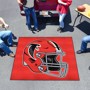 Picture of Atlanta Falcons Tailgater Mat  - Retro