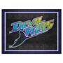 Picture of Tampa Bay Devil Rays 8ft. x 10 ft. Plush Area Rug - Retro Collection