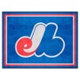 Picture of Montreal Expos 8ft. x 10 ft. Plush Area Rug - Retro Collection