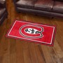 Picture of St. Cloud State Huskies 3ft. x 5ft. Plush Area Rug