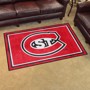 Picture of St. Cloud State Huskies 4ft. x 6ft. Plush Area Rug