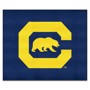 Picture of Cal Golden Bears Tailgater Rug - 5ft. x 6ft.