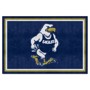 Picture of Georgia Southern Eagles 5ft. x 8 ft. Plush Area Rug