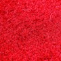 Picture of Nicholls State Colonels Mascot Rug