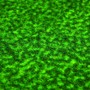 Picture of University of Hawaii Rainbows Putting Green Mat - 1.5ft. x 6ft.
